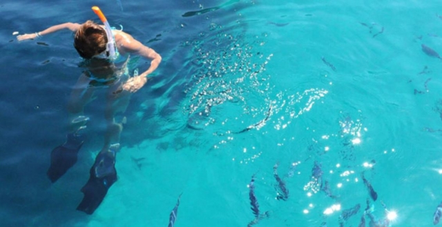  Un chapuzón en el mar 
